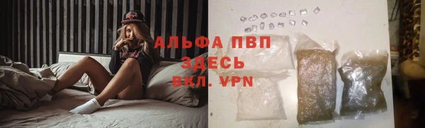 мяу мяу мука Арсеньев