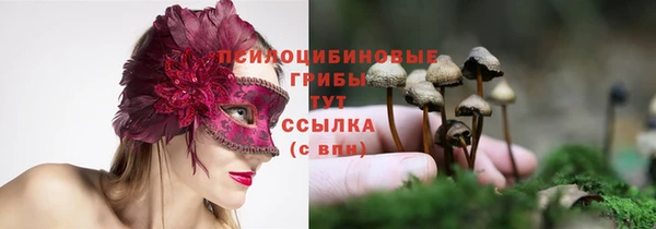 мяу мяу мука Арсеньев