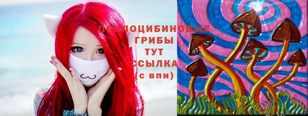 скорость Алексин
