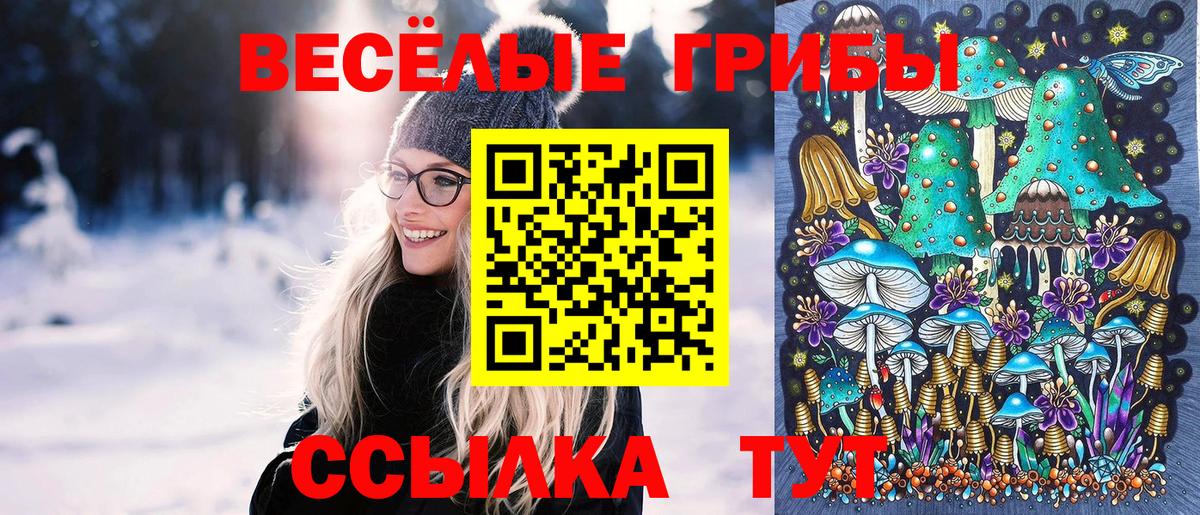 Тюмень  Галлюциногенные грибы мухоморы  Вход с VPN  Галлюциногенные грибы Psilocybe 